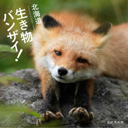 北海道生き物バンザイ!