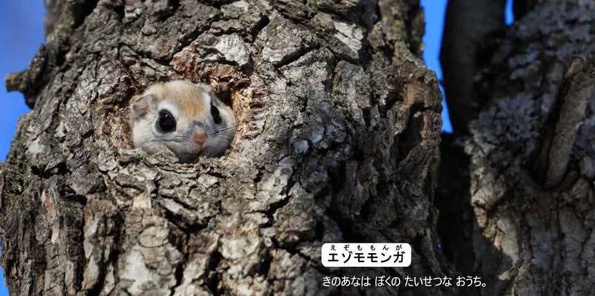 北海道生き物バンザイ!