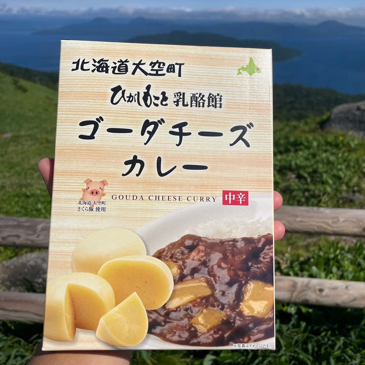 ゴーダチーズカレー(箱)