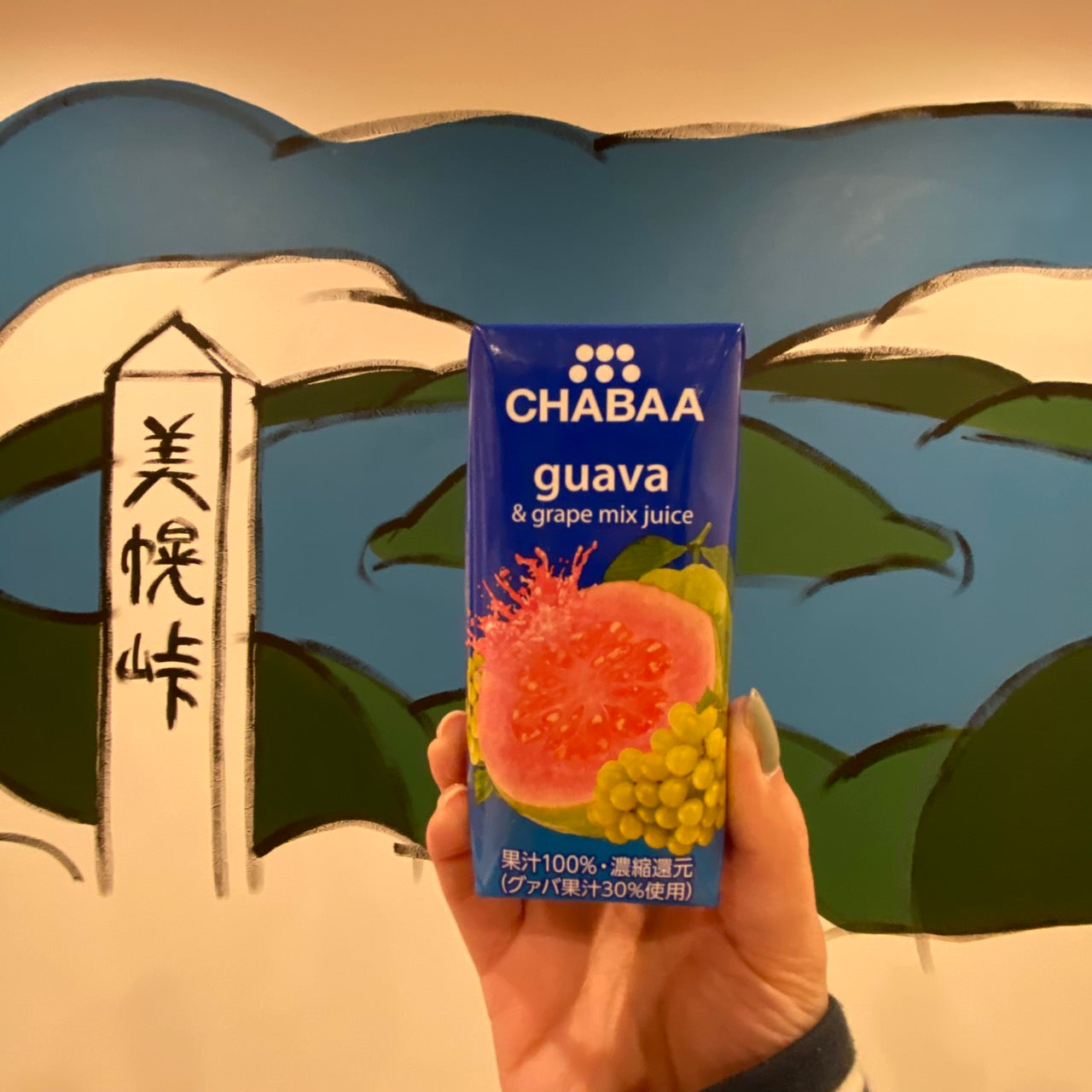 CHABAA100%ミックスジュース グァバ