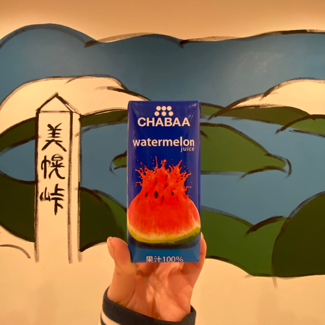 CHABAA100%ジュース ウォーターメロン