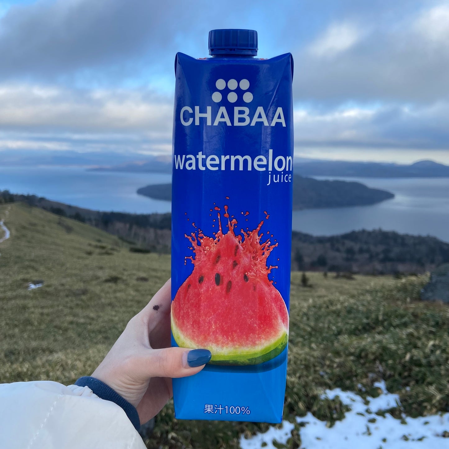 1L CHABAA100%ジュース ウォーターメロン