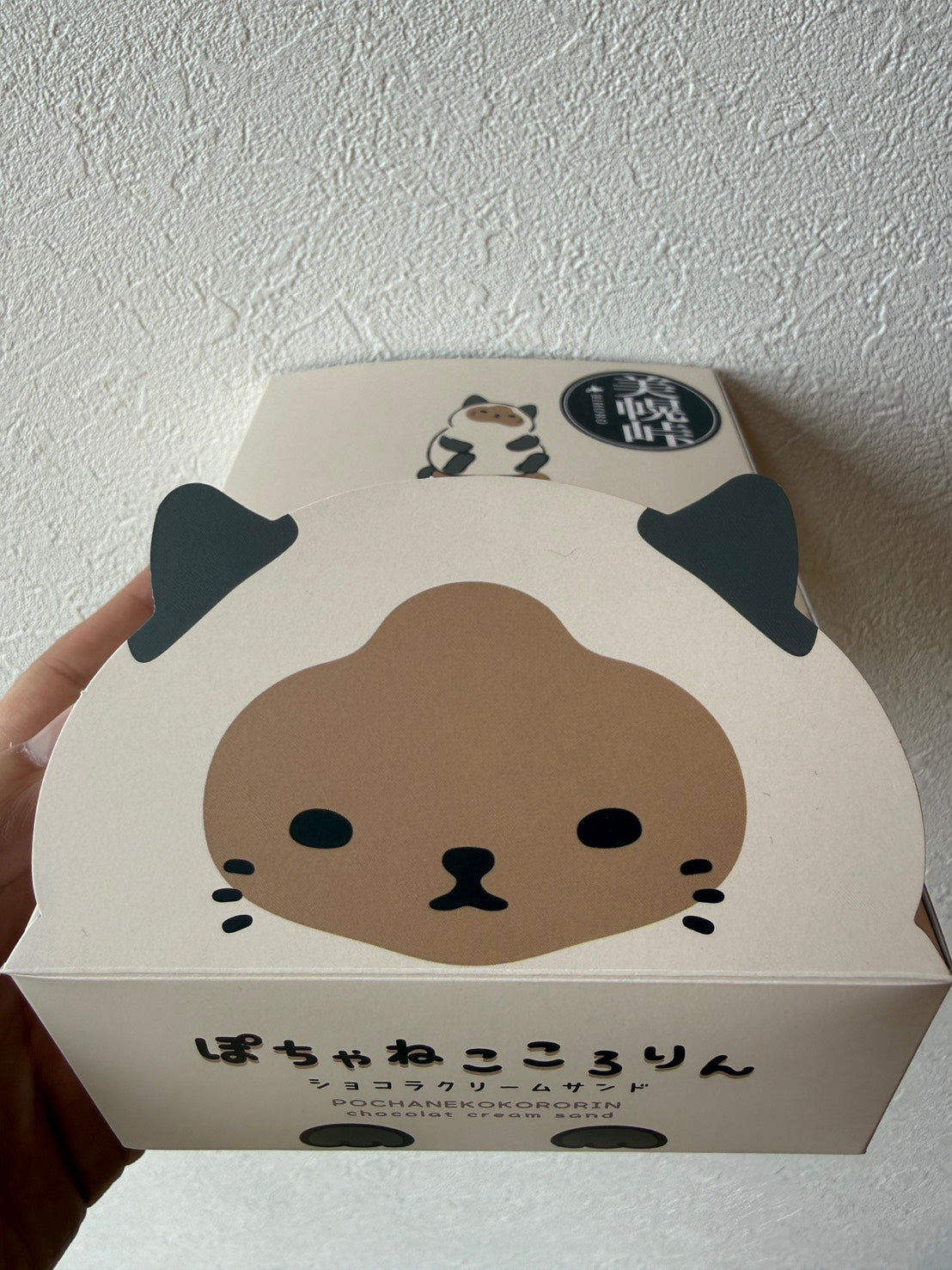 ぽちゃねこころりん　ショコラ
