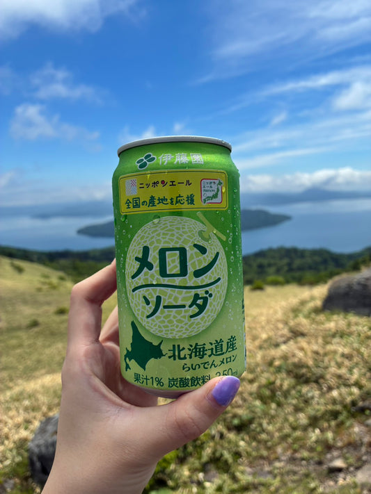 ニッポンエール北海道産らいでんメロンソーダ350ml