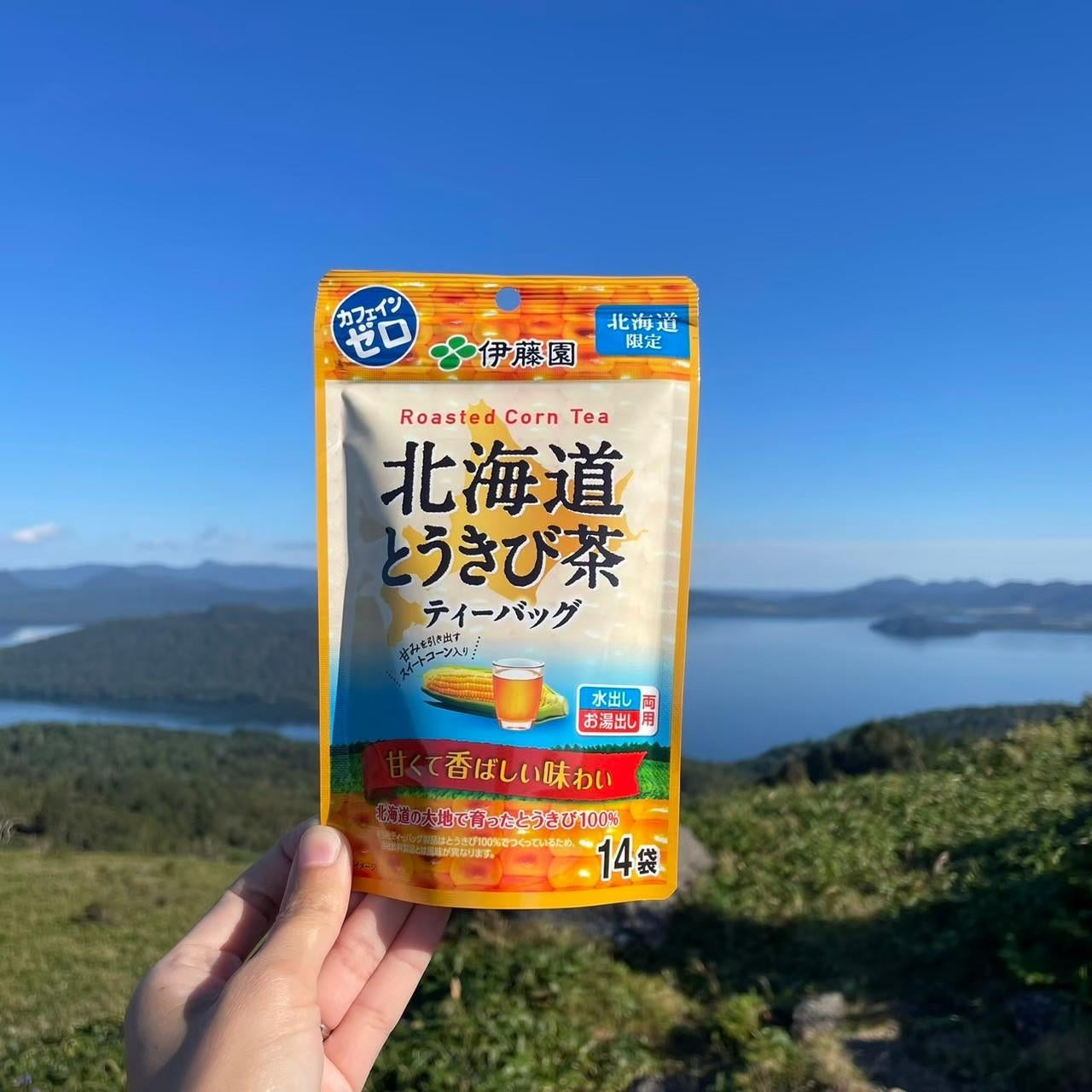 伊藤園とうきび茶TB