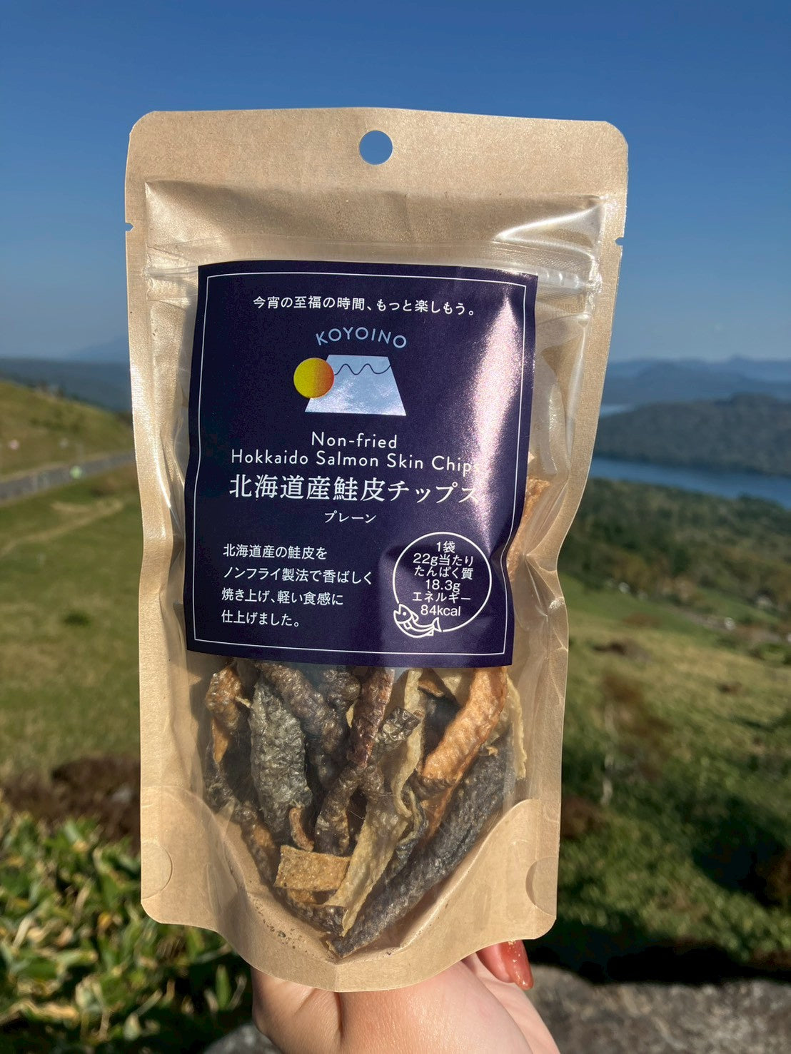 北海道鮭皮チップス　プレーン