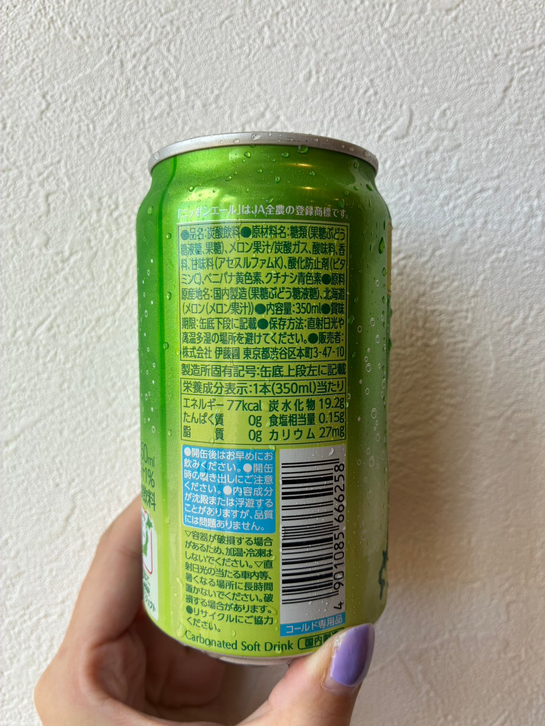ニッポンエール北海道産らいでんメロンソーダ350ml